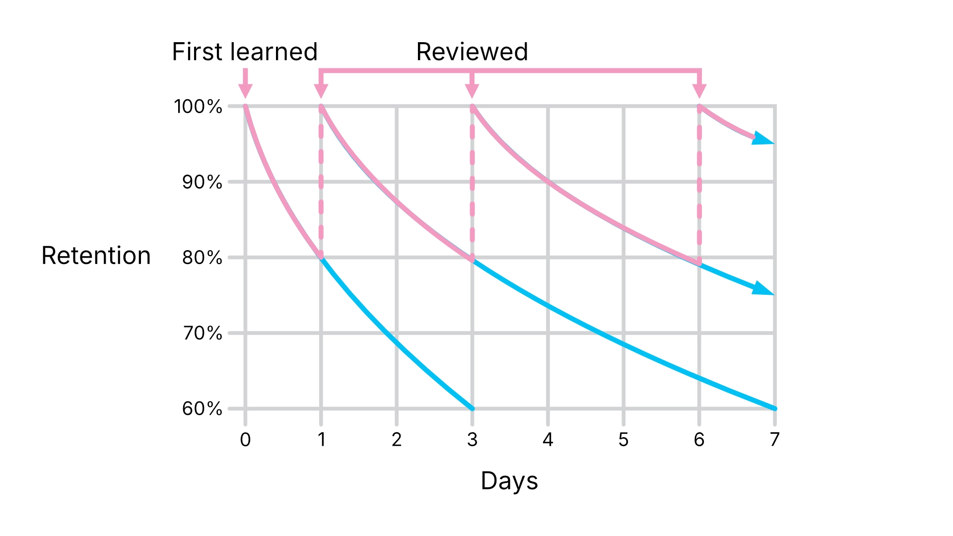 A line graph showing memory retention (y-axis, 60%–100%) over days (x-axis, 0–7). A pink curve shows retention when material is reviewed at days 0, 1, 3, and 6, maintaining approximately 95% retention by day 7. A blue curve shows retention without review, declining to approximately 60% by day 7. Labels indicate 'First learned' and 'Reviewed' at each review point.